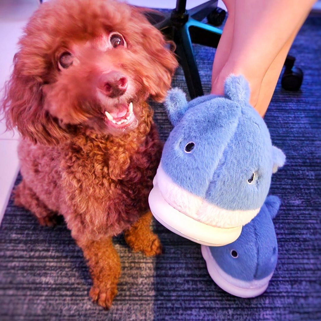 Cute Shark Plush Slippers