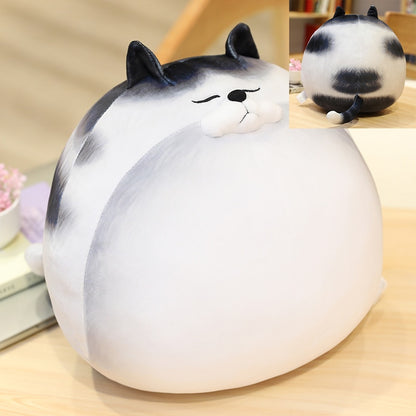 Kawaii Chubby Round Cat Plush Toy